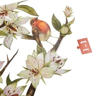 Adesivos Decorativos de Parede com Tema Floral e Pássaros | Decalque Moderno para Sala e Quarto Ms3126-Yl - imagem 5