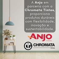 ANJO Removedor Pastoso 1Kg - imagem 5