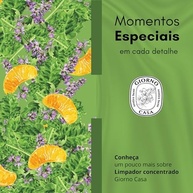 Giorno Casa Limpador Concentrado com Fragrância Bergamota e Patchouli - 120ml - imagem 5