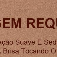 Conjunto de Pincéis Profissionais para Maquiagem Completa – 15 Peças - imagem 2