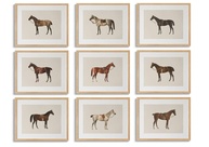 LOARTVE 9 Peças de Pôsteres de Cavalo Vintage - Arte de Parede Rústica para Decoração de Casa e Escritório - imagem 1