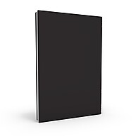 A Convenção das Aves: Volume 5 da Saga Peculiar - imagem 2