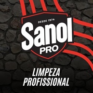 Limpa Pedras Sanol Pró 1L - Removedor Profissional para Pedras Rústicas - imagem 5