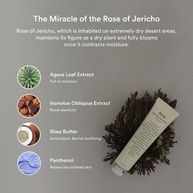 ABIB Jericho Rose: Revitalize Sua Pele! - imagem 2