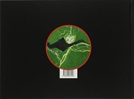 pelos-de-lourenco-mutarelli-capital-a-olhos-amazonense-manaus-a