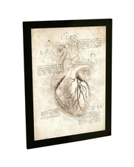 Quadro Decorativo A2 Coração Anatomia Projeto Retro Da Vinci - Moldura Pronta para Pendurar - imagem 2