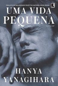 Uma Vida Pequena: O Épico Emocionante Sobre Amor e Amizade - imagem 1