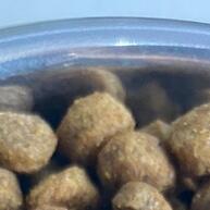 Ração Golden Formula Mini Bits: Saúde e Beleza para Cães Pequenos - imagem 2