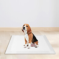 Tapete Higiênico Good Pad 80x60: Solução Prática para Cães Pequenos - imagem 2