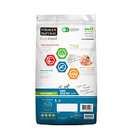 Ração Fresh Meat: Nutrição Natural para Cães Mini e Pequenos - imagem 2