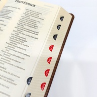 Bíblia NVI: Couro Soft Marrom e Leitura Perfeita - imagem 2