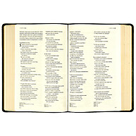 Bíblia C. S. Lewis NVI Couro-Soft Verde – Leitura Perfeita - imagem 2