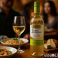 perfeito-chileno-vinho-o-blanc-sauvignon-medallas-3-rita-santa