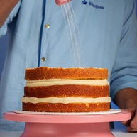 Umedecedor de Bolo Blue Star: Bolos Perfeitos! - imagem 2