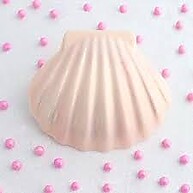 Forma Concha Grande BWB: Bombons Perfeitos! - imagem 2