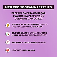 Dabelle Meu Cronograma: Cabelos Perfeitos! - imagem 2