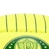 Bola Palmeiras Semi Profissional PVC - Alta Performance - imagem 2