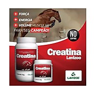 Creatina para Cavalos: Mais Energia e Performance! - imagem 2