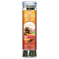 Scentsicles: Ornamentos de Natal Perfumados para Árvore - Aroma Natural de Pinheiro Picante (6 Unidades) - imagem 1