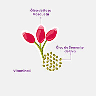 Óleo de Banho BB: Hidratação & Perfume - imagem 2