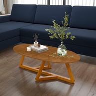 Mesa de Centro Classic Oval Tebarrot Nature - Design Elegante com Pés de Madeira Maciça - imagem 1
