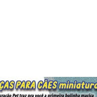 Kit 4 Bolas Maciças para Cães Pequenos e Filhotes - Furacão Pet - imagem 2