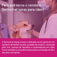 Dermotrat Spray: Alívio Rápido para a Pele do Seu Pet - imagem 2