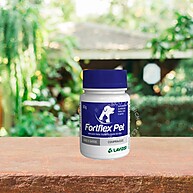 Fortflex Pet: Alívio e Saúde Articular Para Seu Pet - imagem 2