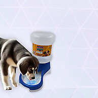 Bebedouro Automático Beba Pet One Azul 2L: Água Fresca e Limpa para Seu Pet - imagem 2