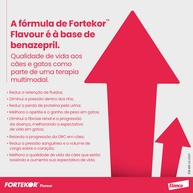 Fortekor 5mg: Saúde Renal e Cardíaca para Pets - imagem 2