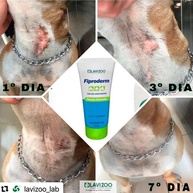 pets-para-profunda-hidratacao-lavizoo-fiproderm