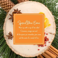 Scentsicles: Ornamentos de Natal Perfumados para Árvore - Aroma Natural de Pinheiro Picante (6 Unidades) - imagem 5