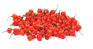 Pimenta Biquinho Em Conserva Granel 1kg - imagem 3