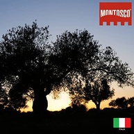 Montosco Azeite Extra Virgem Com Pimenta Calabresa 125Ml - imagem 2