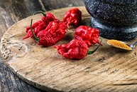 Molho Pimenta Carolina Reaper Legitima 60ml - Fogo Mineiro - imagem 4