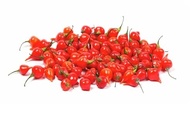 Pimenta Biquinho em Conserva Granel 500g - imagem 2