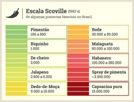 Sementes de Pimentas Diversas Variedades (Bode Vermelha 10 Sementes) - imagem 3
