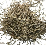 Agulha de Pinheiro 500Gr - imagem 1
