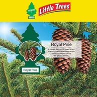 Aromatizante Little Trees Royal Pine: Frescor de Pinheiro para seu Carro - imagem 5