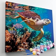 Kit Pintura Terapêutica Tartaruga Maravilhosa - Pintura Relaxante e Estimulante para Crianças e Adultos - imagem 2