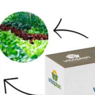 Fertilizante Vitaplan 150g: Nutrição Completa para Bonsai e Plantas - imagem 2
