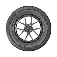 Pneu Goodyear Eagle Sport 2 205/55R16 91V: Performance e Segurança para Seu Carro - imagem 5