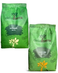 Gengibre Em Pó 250g E Cúrcuma Em Pó 250g Della Terra - imagem 2