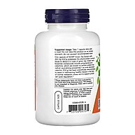 Chá Verde EGCg Now Foods: Antioxidante Poderoso - imagem 2