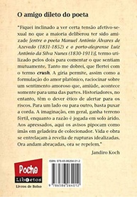 O Crush de Álvares de Azevedo: Desvendando o Poeta e suas Conexões - imagem 3