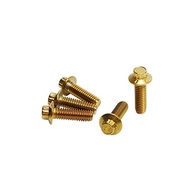 Parafusos Torx Dourados 12 Pontos Aço Inox - Rotor Freio Dianteiro Harley Davidson - imagem 4