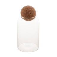 Pote de Vidro 800ml Lyor Clean: Frescor e Elegância - imagem 1