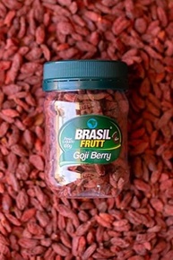 pote-frutt-brasil-desidratado-berry-100g-goji