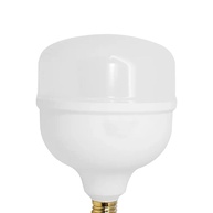 Lâmpada LED 30W Bronzearte: Iluminação Potente! - imagem 2