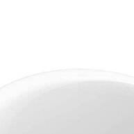 Papa Bolinhas Pro Flash Limp: Remove Pelos e Fiapos com Prática - imagem 1